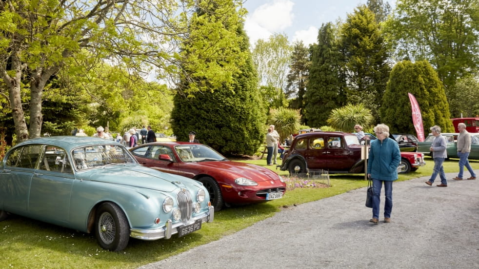 Boundless members looking at a collection of motor cars